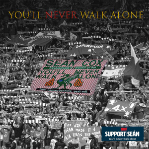 收聽Dunboyne Collective的You'll Never Walk Alone (A Song for Seán Cox)歌詞歌曲