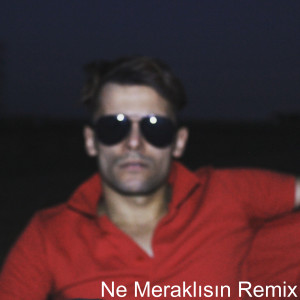 Listen to Ne Meraklısın (Remix) song with lyrics from Efe