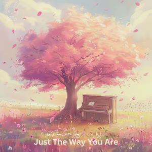 The Piano Cover Guy的專輯Just The Way You Are (Piano Version)