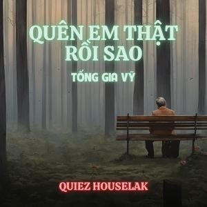 Album Quên Em Thật Rồi Sao (Quiez Houselak) from Tống Gia Vỹ