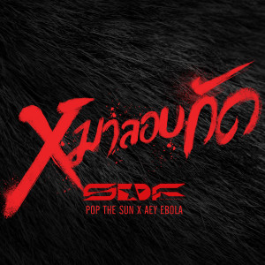 收聽เอส.ดี.เอฟ的หมาลอบกัด歌詞歌曲