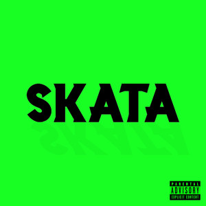 Album Skata (Explicit) from Tyfozz