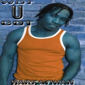 ดาวน์โหลดและฟังเพลง WOT U GOT พร้อมเนื้อเพลงจาก Harkaynian