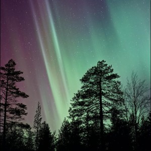 Listen to Three Little Birds song with lyrics from Deep Sleep