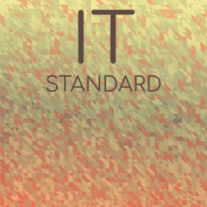 Various Artists的专辑It Standard