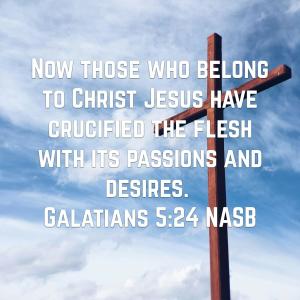 Dacorri Newsome的專輯Blame It On The Flesh