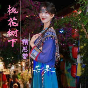 Album 桃花树下相思梦 from 韩浩