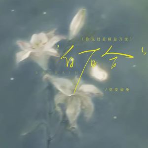 Listen to 白百合 (你说过爱瞬息万变) (伴奏) song with lyrics from 莫要福兔