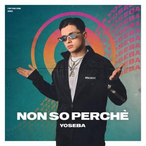 Dengarkan Non so perché lagu dari Yoseba dengan lirik