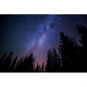 收聽데일리 스케치的Starlight歌詞歌曲