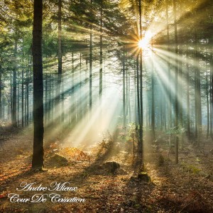 ดาวน์โหลดและฟังเพลง Prelude In C Major พร้อมเนื้อเพลงจาก Andre Mieux