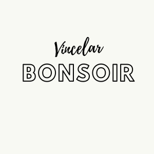 Listen to Bonsoir song with lyrics from VincelaR