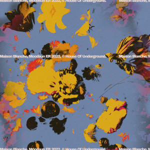 Listen to Moodsun song with lyrics from Maison Blanche