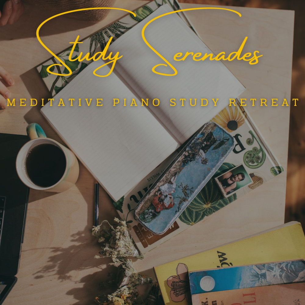 Thoughtful Piano Study Journeys