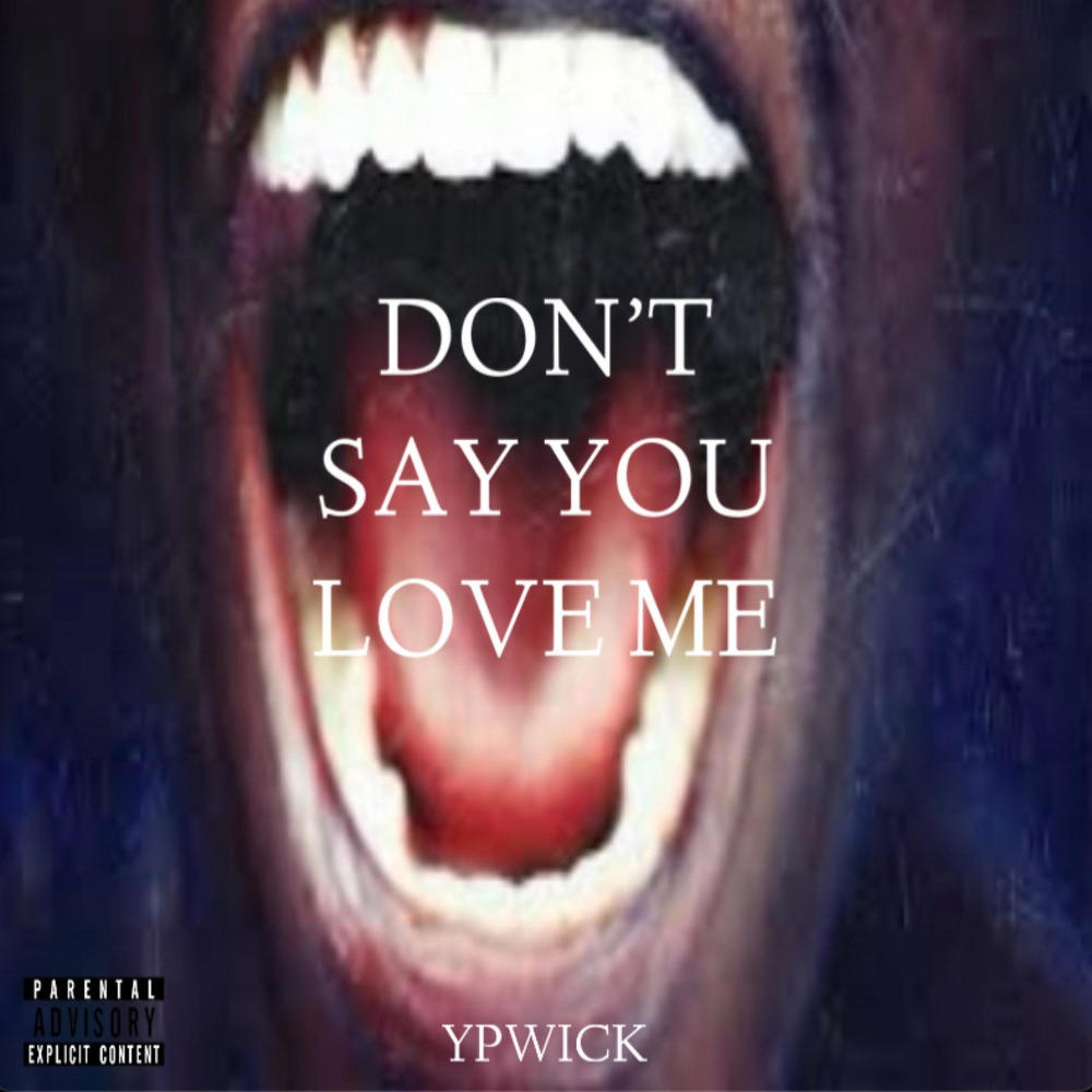 DON'T SAY YOU LOVE ME (Explicit)