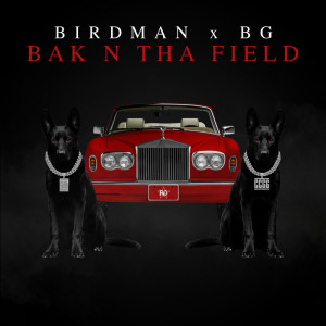 Birdman的專輯BAK N THA FIELD