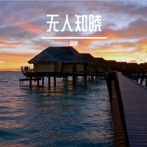 Dengarkan 无人知晓 (Remix) lagu dari 杨晓 dengan lirik