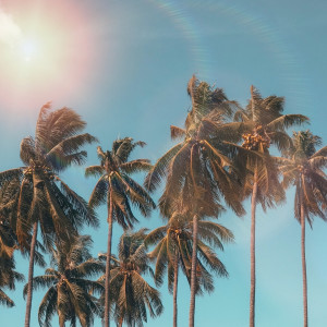 Album Tropical Future from MJ Kuok