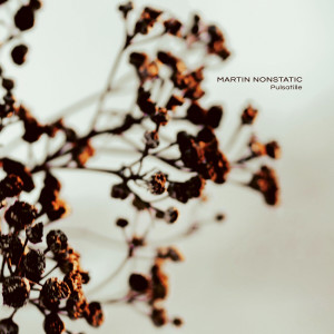 Album Pulsatille from Martin Nonstatic