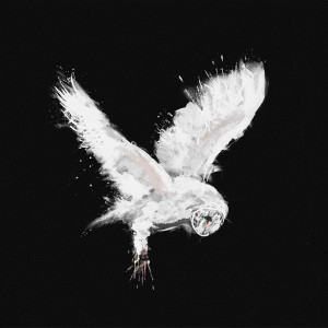 Listen to Kyle Anderson song with lyrics from NAVY EGO