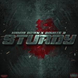 Hands Down的專輯Sturdy (feat. Dougie B) [Explicit]