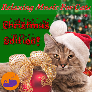 ดาวน์โหลดและฟังเพลง Santa Is Coming to Kitten Town พร้อมเนื้อเพลงจาก RelaxMyCat