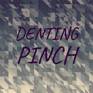 อัลบัม Denting Pinch ศิลปิน Various