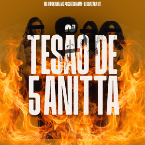 收聽Mc Pipokinha的TESÃO DE 5 ANITTA (Explicit)歌詞歌曲