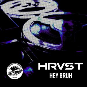 Listen to Hey Bruh song with lyrics from HRVST