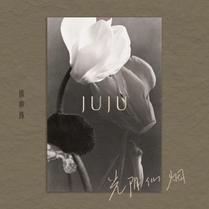 Album 光阴似烟 from 徐亦珠