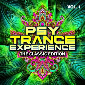 Various Artists的專輯Psy Trance Experience - The Classic Edition, Vol. 1