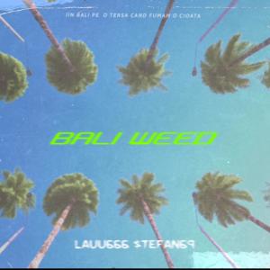 ดาวน์โหลดและฟังเพลง Bali ** (feat. $tefan69) (Explicit) พร้อมเนื้อเพลงจาก Lauu666