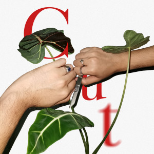 ดาวน์โหลดและฟังเพลง Cut พร้อมเนื้อเพลงจาก Linesforeyes