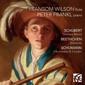 ดาวน์โหลดและฟังเพลง Serenade in D Major, Op. 25: VI. Andante con Variazioni [I-III] พร้อมเนื้อเพลงจาก Ransom Wilson