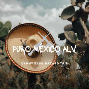 Album Puro México Alv. (Explicit) from Hazard Trip