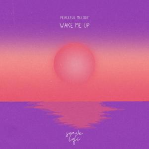 ดาวน์โหลดและฟังเพลง Wake Me Up พร้อมเนื้อเพลงจาก Peaceful Melody