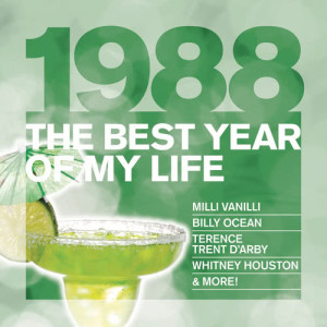อัลบัม The Best Year Of My Life: 1988 ศิลปิน Various Artists
