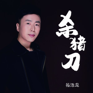 Album 杀猪刀(DJheap九天版) oleh 杨浩龙