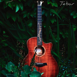 Listen to Wilderness song with lyrics from Tabor