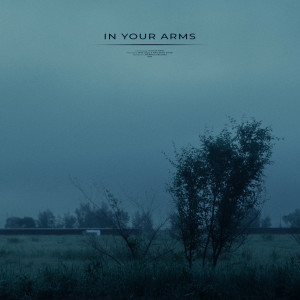 Listen to in your arms song with lyrics from dvw logic