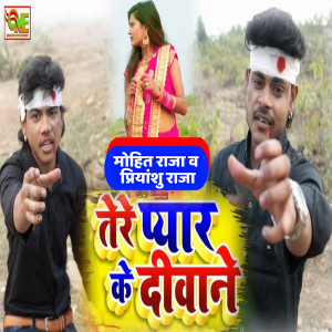Listen to Tere Pyar Ke Deewane song with lyrics from Mohit Raja