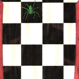 Album паук from totpoc