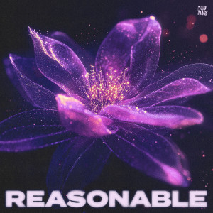 อัลบัม Reasonable ศิลปิน 