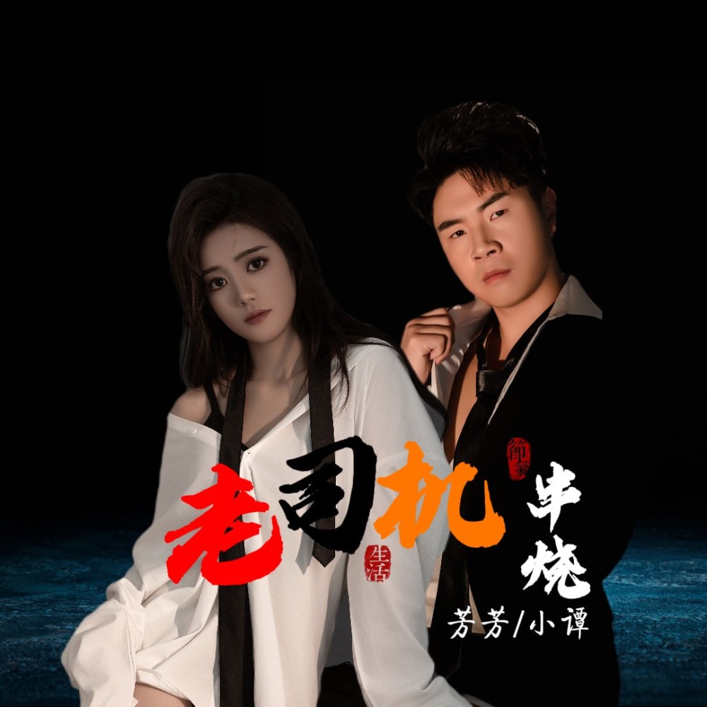 情未了 (伴奏)