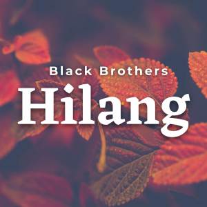 Listen to Hilang song with lyrics from Black Brothers