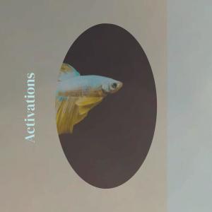 Listen to War Hint song with lyrics from Flod Janki