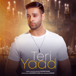 Avkash Mann的專輯Teri Yaad