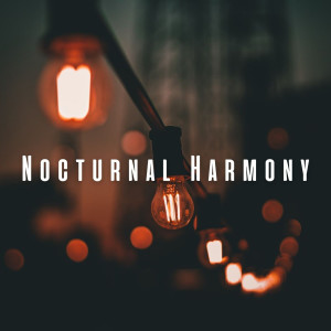 Sleep Powder的專輯Nocturnal Harmony: Ambient Music for Serene Sleep