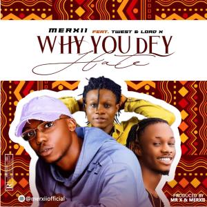 ดาวน์โหลดและฟังเพลง WHY YOU DEY HATE (Explicit) พร้อมเนื้อเพลงจาก merxii