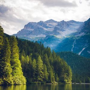 Album Relaxation | Comforting Music | Sleep from The White Noise Zen & Meditation Sound Lab